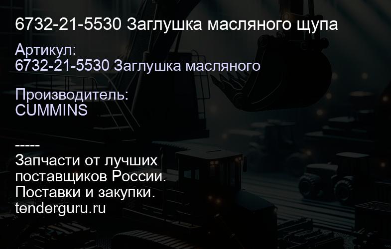 6732-21-5530 Заглушка масляного щупа | купить запчасти